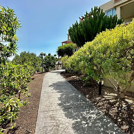 公寓 Flat In La Tejita, Medano 格拉纳迪利亚-德阿沃纳